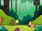 play Baffled Forest Escape