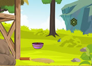 play Playful Forest Escape