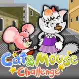 play Cat & Mouse Challenge