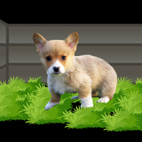 play Dog Escape From Forest