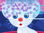 play Pet Cat Makeover