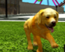 play Dog Simulator