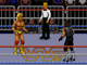 Wwf Royal Rumble