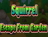 Squirrel Escape From Garden