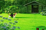 play Backyard Garden Escape