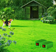 play Backyard Garden Escape