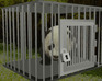 play Baby Panda Escape