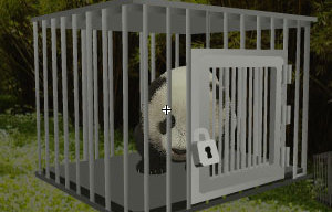 Baby Panda Escape