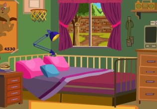 play Escapefox Hamster House Escape