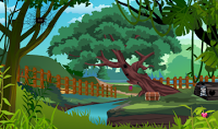 play My Rabbit Escape