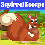 play Squirrel Escape