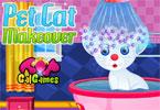 Pet Cat Makeover