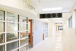 play Hospital Escape