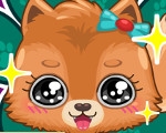 play Adorable Kitty Care