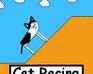play Cat Racing