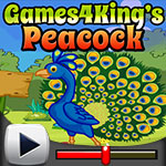 Peacock Escape Game Walkthrough