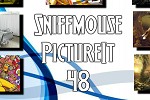 play Sniffmouse Pictureit 48