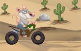 Rat On A Dirt Bike