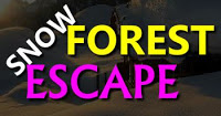 play Snow Forest Escape