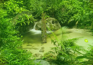 play Mayans Dense Forest Escape