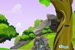 play Teg Jungle Cat Escape