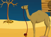 play Camel Escape