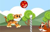 play Volleyball With Animals