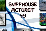 Sniffmouse Pictureit 49