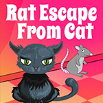 Rat Escape From Cat