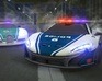 Dubai Police Supercars Rally