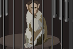 play Monkey Lab Escape