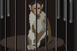 Monkey Lab Escape