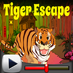 play Tiger Escape Game Walkthrough