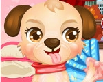 play Cute Baby Puppy Care