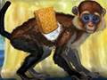 play Funny Monkey Kissing