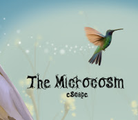 play The Microcosm Escape