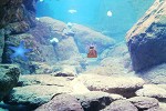 play Sunken Ship Place Escape