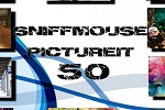 play Sniffmouse Pictureit 50