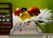 play Jenna'S Ladybug Escape