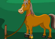 play Horse Rescue Escape