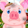 play Pet Stars: Baby Pig