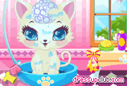 play Sweet Kitty Salon