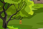 play Pet Bird Escape