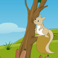 play Escape Squirrel From American Island