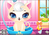 play Sweet Kitty Salon