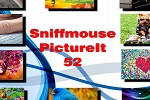 play Sniffmouse Pictureit 52