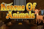 play Rescue Of Animals