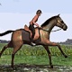 play Horse Jumping