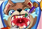 play Puppy Teeth Dentist