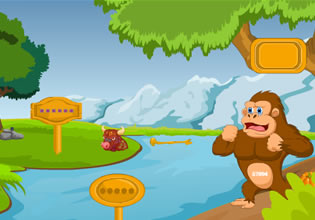play Forest Gold Bag Rescue